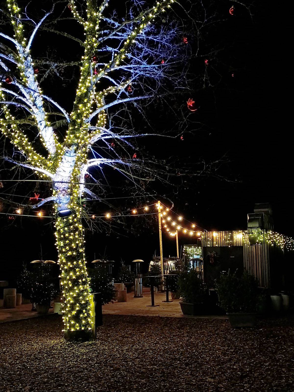 Jezero Jasna, Slovenija (3).jpg