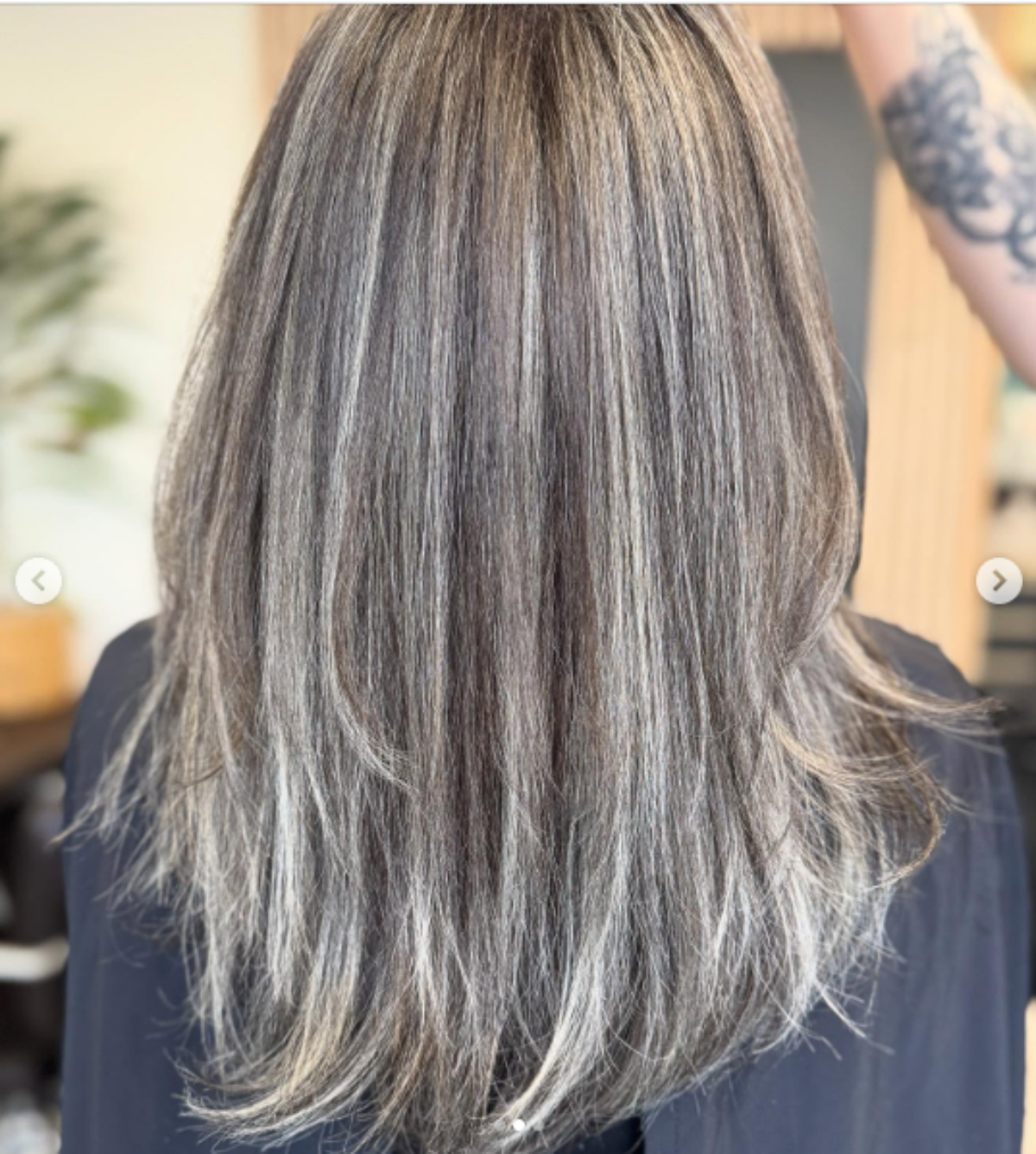 Pramenovi za sedu kosu