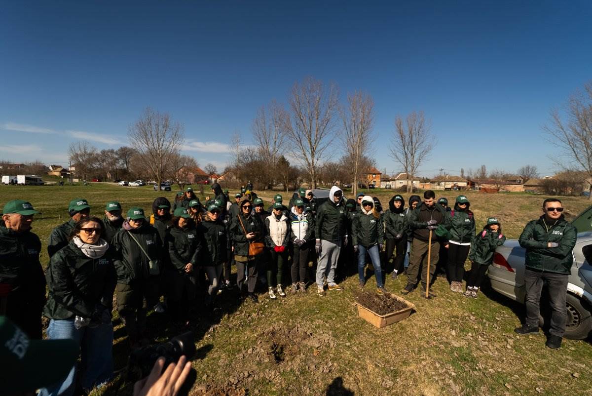 260309_Zasadi drvo PRINT-01723.jpg