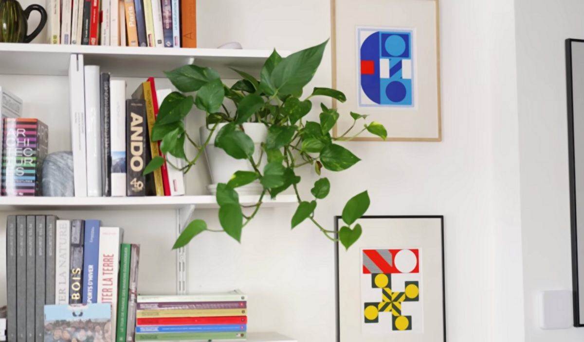 mali stan od 48 kvadrata sa fenomenalnom kuhinjom 09.jpg