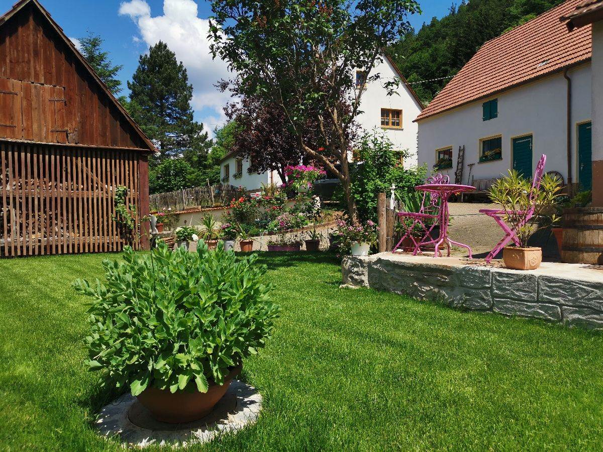 travnjak u dvoristu 5.jpg