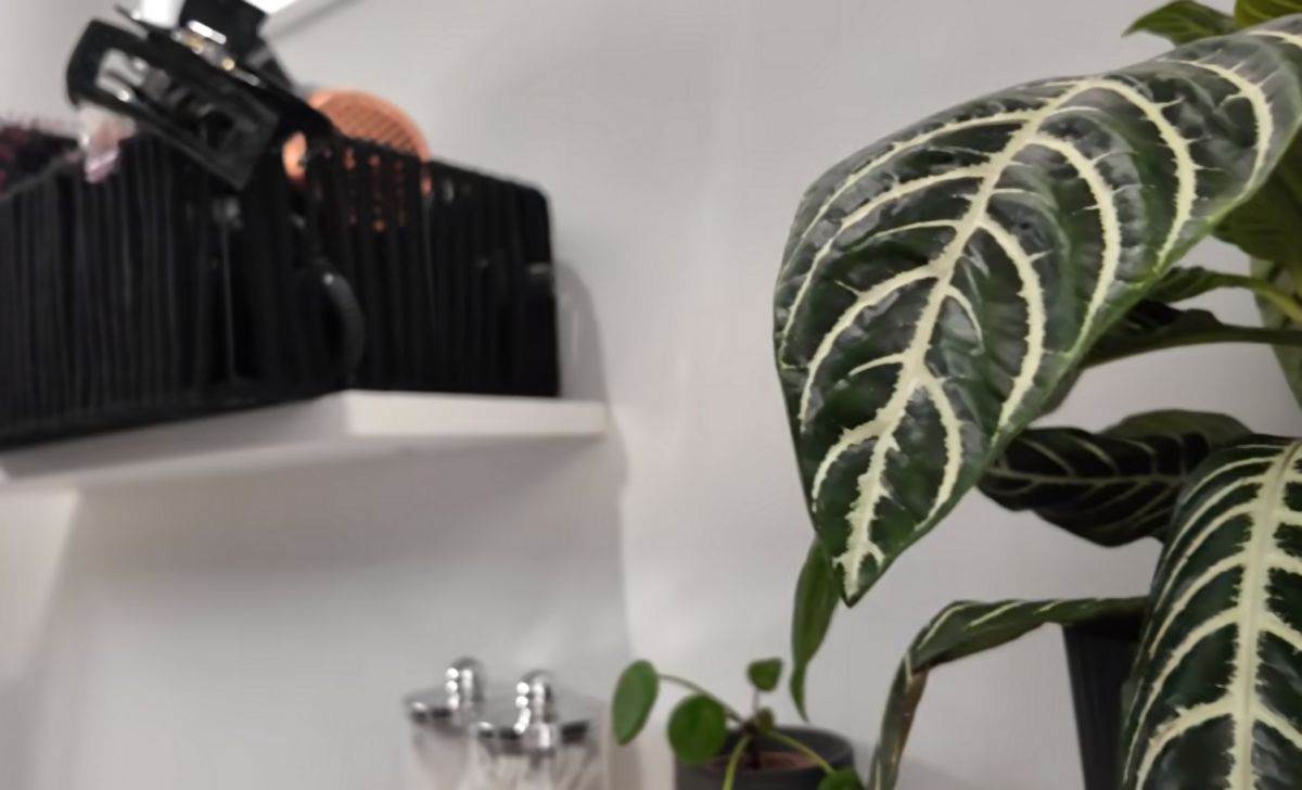 mali stan od 27 kvadrata sa ogledalima  12.jpg