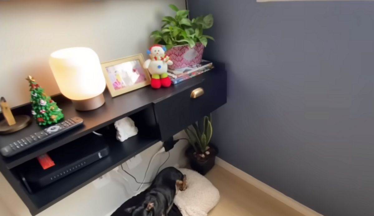 mali stan od 37 kvadrata sa dve spavace sobe 03.jpg