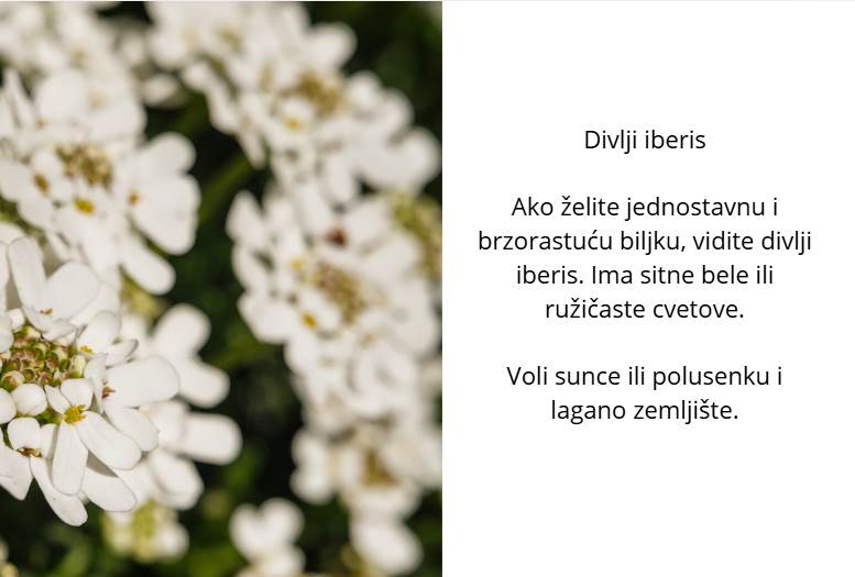 Snimak ekrana 2026-05-14 122002.png
