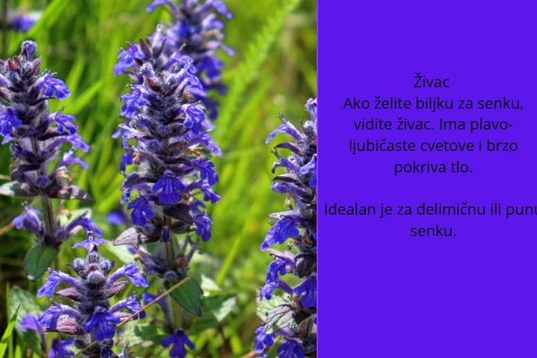 Snimak ekrana 2026-05-14 122050.png
