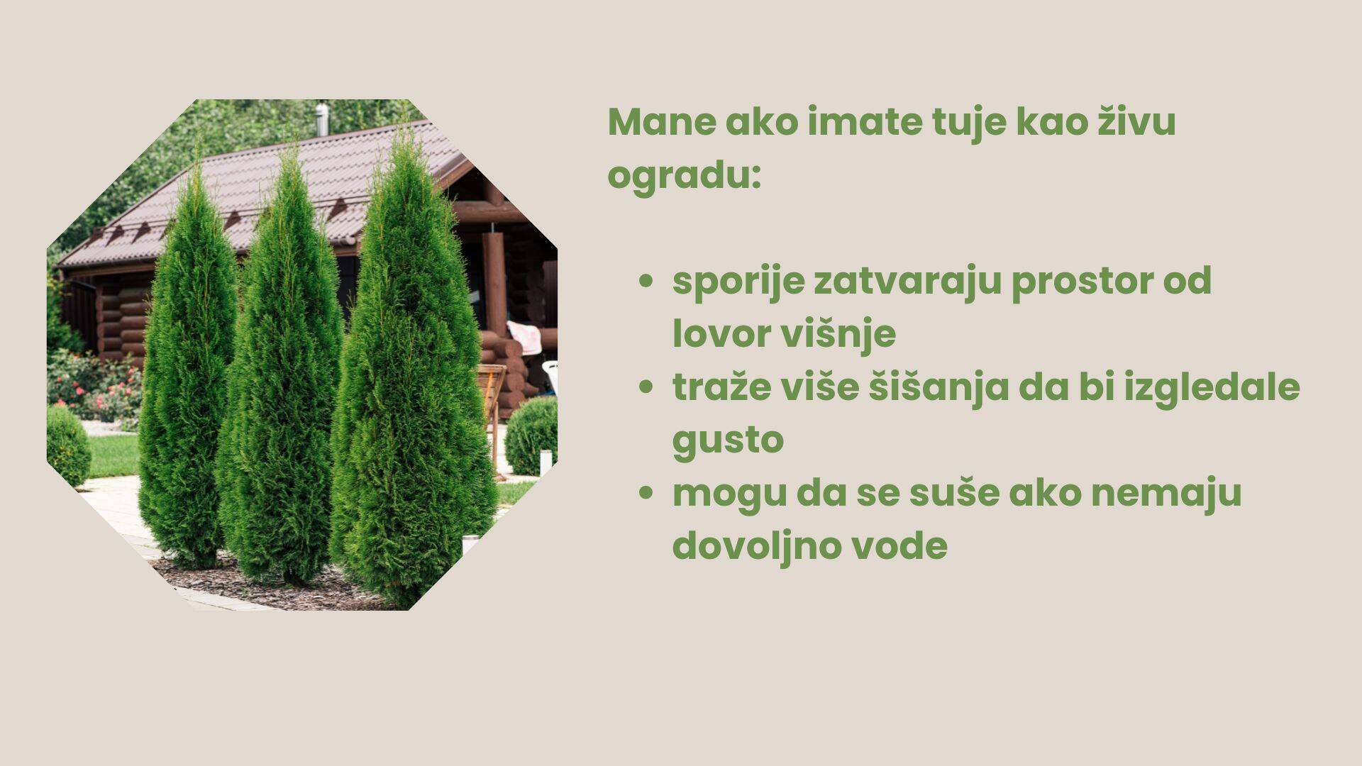 Dodajte malo glavnog teksta (6).jpg