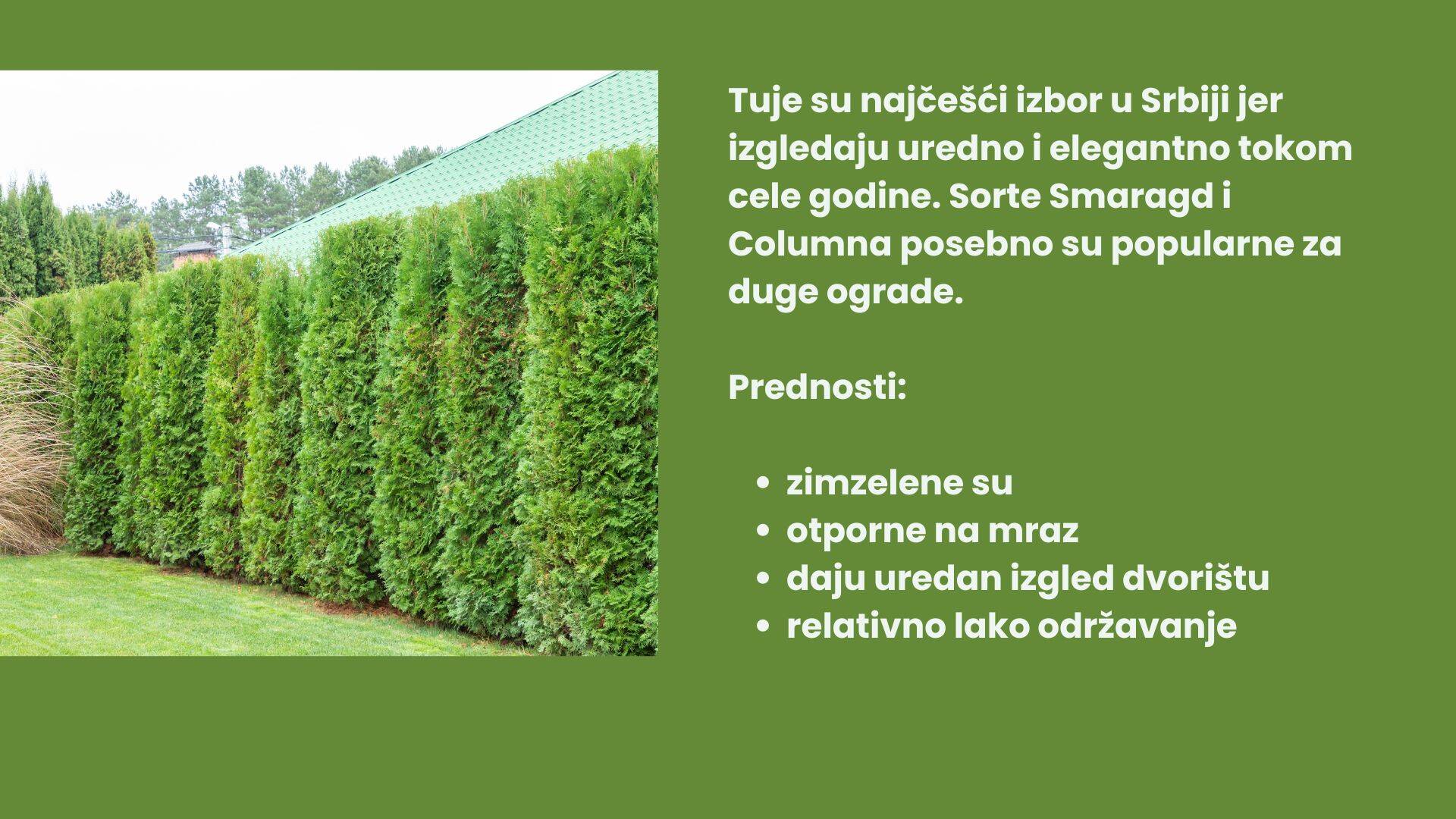 Dodajte malo glavnog teksta (5).jpg