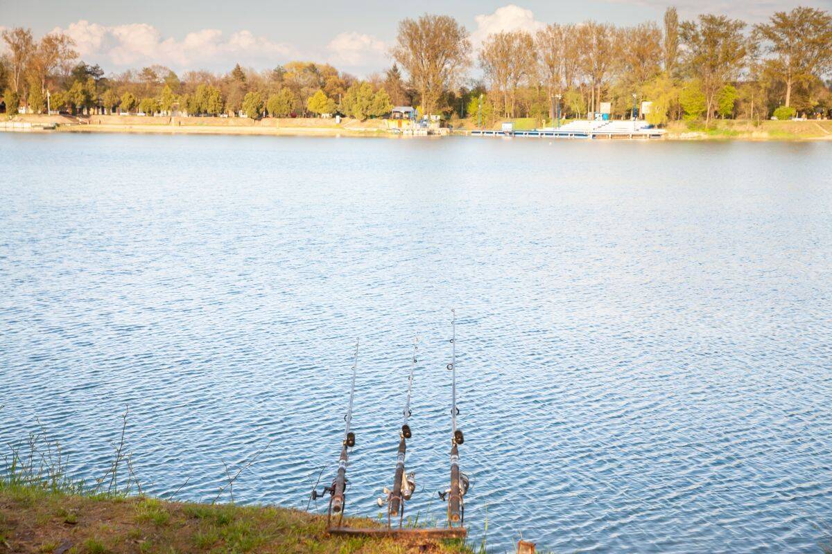 jezero_bela_crkva_2280498871.jpg