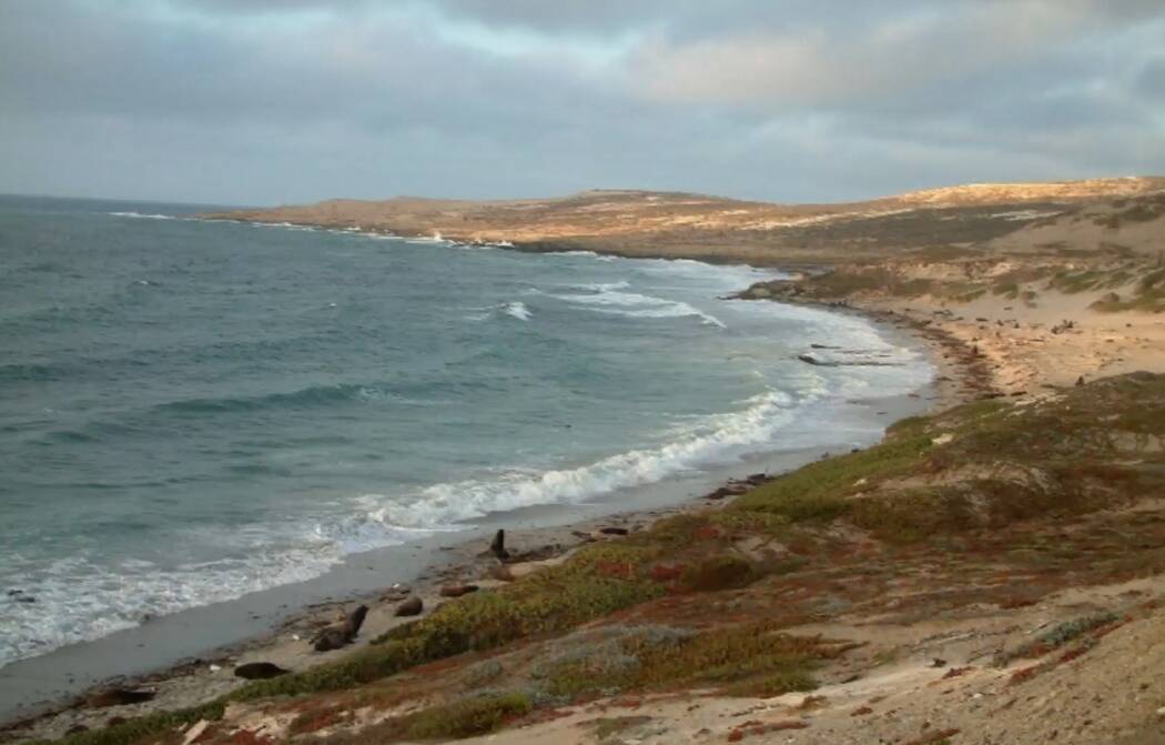 2026-07-10 08_16_02-See the _Island of the Blue Dolphins_ - San Nicolas Island, CA - YouTube.jpg