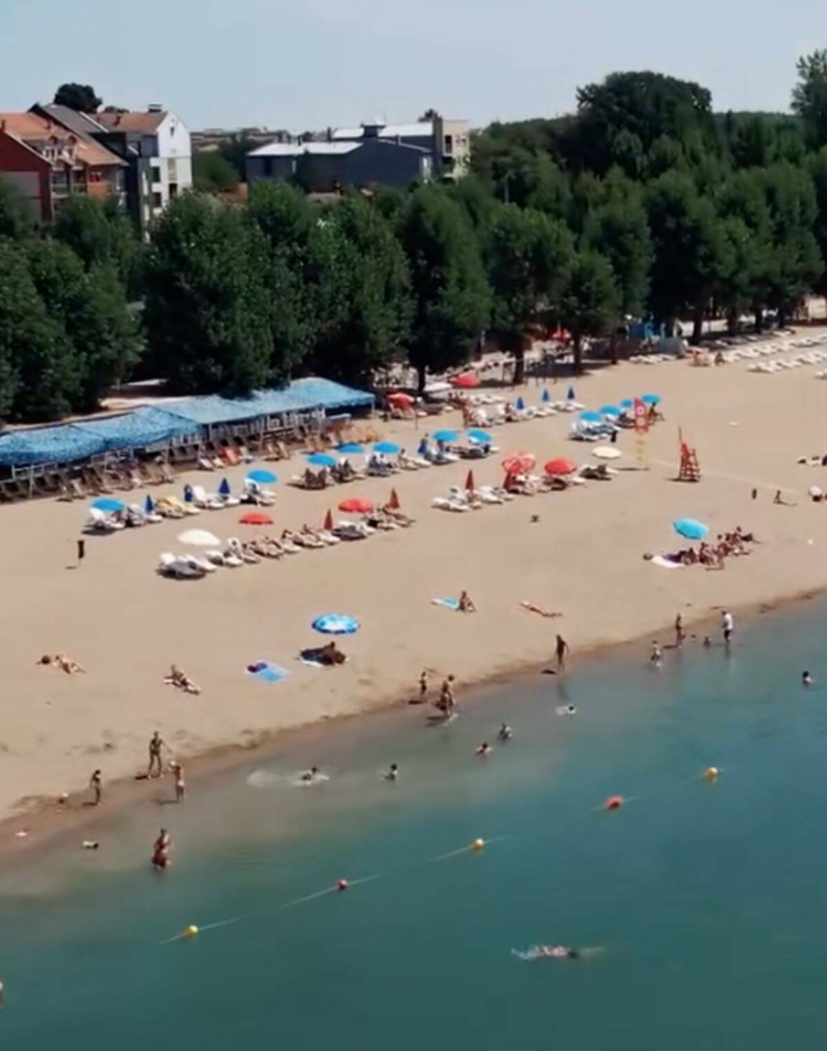 srpski_brionii01.jpg