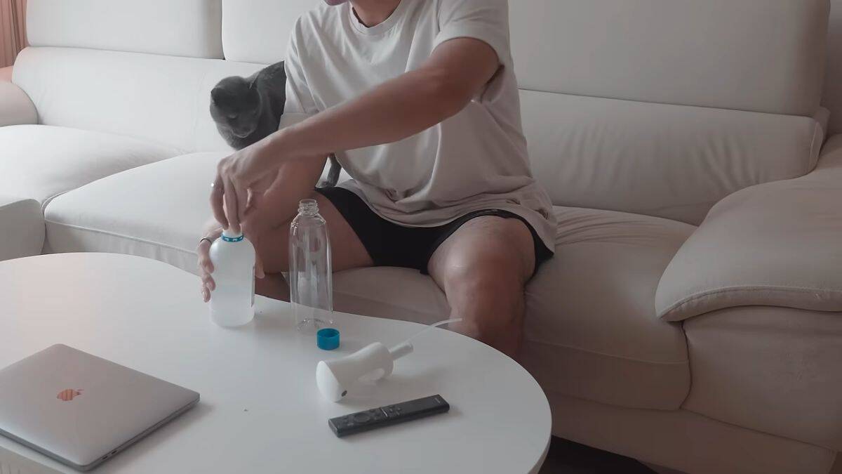 kako ziveti s mackama u malom stanu 011.jpg