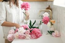 shutterstock_2333255355.jpg