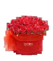 Ruže Oooolaalaaa.jpg