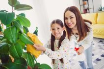 majka i cerka brisu prasinu sa fikusa.jpg