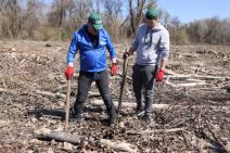 zasadi drvo min 44.JPG