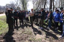 zasadi drvo 4 Damir Dervisagic.jpg