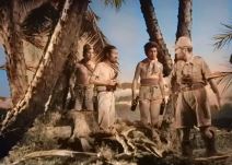 Žena i 32 muškarca na pustom ostrvu