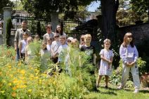 radionica za decu zasadi drvo jakov milosevic.jpg