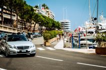 _2638595103 Todamo.jpg