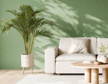 5 boja koje dnevnu sobu čine luksuznom