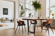 Drvo u enterijeru i kako kombinovati