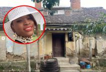 Kako je Zulu snajka renovirala staru kuću