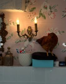 Zulu snajka Naledi Repaja renovirala staru trošnu kuću