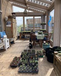 Marjolein Jonker živi u kući od svega 24 kvadrata