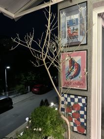 Cvetanka Belički iz Makedonije, jesenja terasa