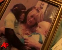 Žena koja je gajila šimpanzu