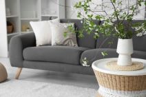 dnevna soba grane.jpg