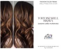 Tortoiseshell braon boja kose