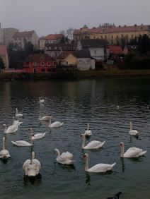 Maribor (7).jpg