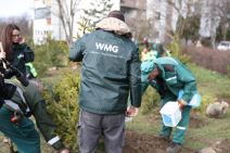 Akcija spasi svoju jelku