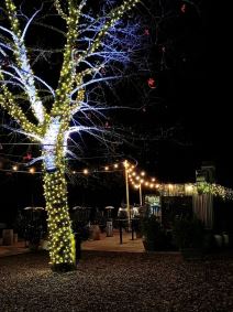 Jezero Jasna, Slovenija (3).jpg