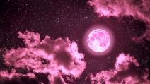 Ružičasti pun Mesec
