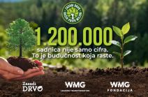 Kurir web Zasadi drvo.jpg
