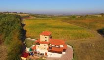 Sveti Vasilije Ostroški molitva i praznik
