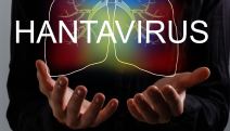 hantavirus 3.jpg