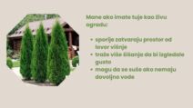 Dodajte malo glavnog teksta (6).jpg