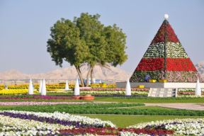 Cvetne korpe u rajskom vrtu: park u Dubaiju drži rekord sa 3000 visećih žardinjera