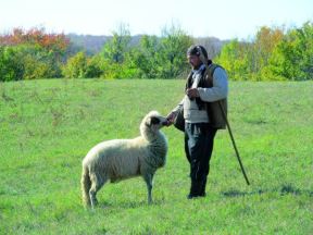 Moderni pastiri sa Homolja