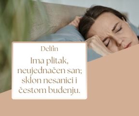 delfin.jpg