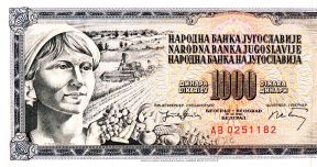 Hiljadarka.jpg