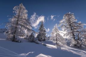 Krvavec