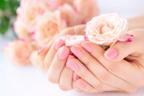 Roze manikir