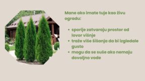 Dodajte malo glavnog teksta (6).jpg