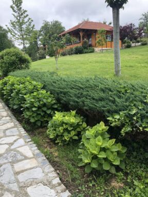 Dvorište