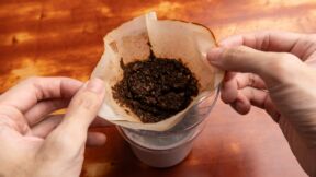 Zašto u julu treba da stavite talog kafe na prozorsku dasku