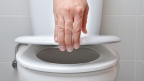 WC šolja